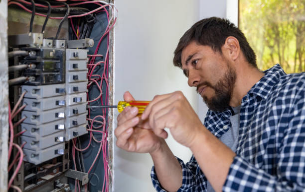 Best Electrician for Home Renovation  in Curwensville, PA